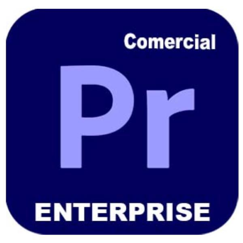 Adobe Premiere Pro for Enterprise - Nuovo abbonamento (1 anno) - 1 utente nominale - accademico - Adobe Value Incentive Plan (VIP) Marketplace - Livello 1 (1-9) - Win, Mac - Multi European Languages